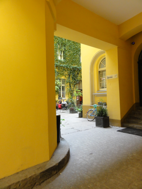 DSC07800.png