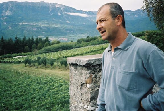 Trentino_Balter_Vineyard_.jpg