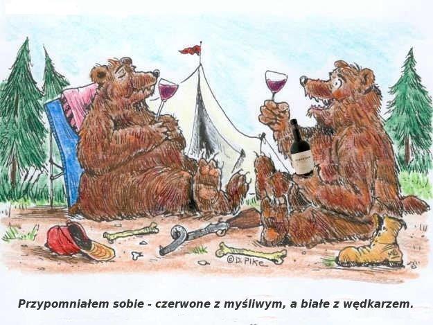 Dobór